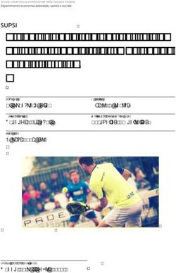 Elaborazione di un business plan per lo sviluppo e la promozione del padel in Ticino
