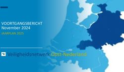 Veiligheidsnetwerk Oost-Nederland - VOORTGANGSBERICHT November 2024 JAARPLAN 2025 - Veiligheidsregio Twente