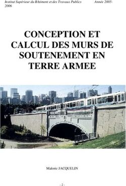 CONCEPTION ET CALCUL DES MURS DE SOUTENEMENT EN TERRE ARMEE - Institut Sup&eacute;rieur du BAtiment et des Travaux Publics 2006